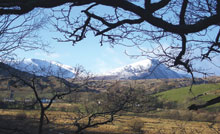 Snowdonia through the trees in Capel Curig Community Centre
